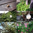 지리산털보농원 이미지