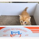 아이조아요양보호소 대구점 이미지