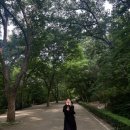 행복한꽈배기광릉수목원점 | 경기 포천 광릉국립수목원 30주차 임산부의 초록빛 힐링 산책 & 주차 꿀팁!