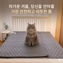 신세계의료기 | 전기장판 말고 '이거' 쓰세요! 한일의료기 탄소매트(프리즘) 전자파 걱정 끝 추천