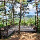 이래서 산림청이 걷기 좋은 명품 숲으로 선정한 거구나" 3.8km 자연 숲길 트레킹 명소 이미지