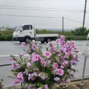 성환주유소 이미지