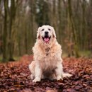 송파원동물병원 이미지