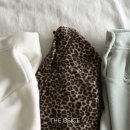 더 베이지 이미지