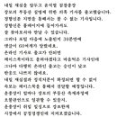 [단독]윤석열 총장 장모, 양평군 땅 5필지 부동산실명제 위반 의혹 이미지