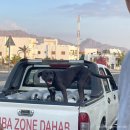 멍멍사우나 이미지