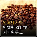 인도네시아 만델링 G1 TP 커피원두, 특징부터 선택 기준까지 이미지