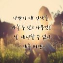 {{ 훈련후기 }} 2026년 10월 16일 금요일, 안성 세종마라톤 훈련일지, 09번 훈련 남았습니다,,,,, 이미지