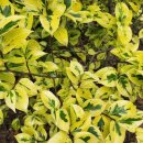 인송농장 이미지