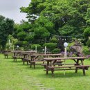 폴개네제주드림캠프 이미지