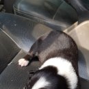 미스터앤 미세스멍 원주점 이미지