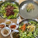 수경이네국수집 | 서산 칼국수 모자낙지칼국수｜서리태콩국수와 육회비빔밥 점심 후기
