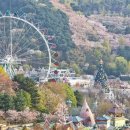 용인에버랜드펜션 이미지