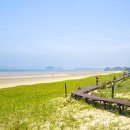 더(The)라온 이미지