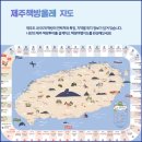 제주착한여행
