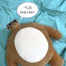이사박사익스프레스 | 구미 포장이사 추천 천일익스프레스 내돈내산