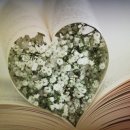 조정체험학교 강당 이미지