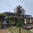 (주)지토 | 1) - 1일차 공항 근처 해장국 맛집, 함덕해수욕장, 카페 델문도, 만춘서점, 지토의 숲, 얌얌돈까스, 연미정