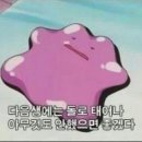 무네