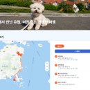 강생이랑 | 강아지랑 어디 가지? 반려동물 여행지도 ‘강생이랑 갱이랑’