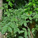 길산농장 이미지