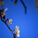 충무공파출소 이미지