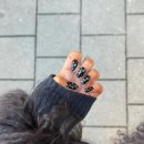 라라도트 이미지
