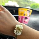 알리바이 금당점 이미지