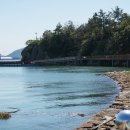 흑산도 Daum카페