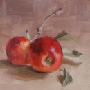 코크(Koch) 이미지