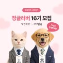 한끼멍냥 | [서포터즈 정글러버 16기 모집] 정글키친과 함께할 멍냥 가족을 초대합니다 🐶🐱