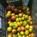 상영농장 이미지