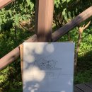 파펠아트스튜디오