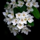 계룡골프클럽 이미지