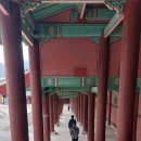 솔개마루 | 서울 5대 궁궐 중 경희궁 방문기 궁궐 지붕 동물, 흥화문, 숭정문