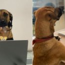 현대자동차 대리점 앞 이미지