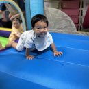 신나는🎵에어바운스 &amp; JUMPING바운서 놀이🎡 이미지