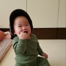 로율 이미지