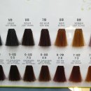 엘샤론코리아 이미지