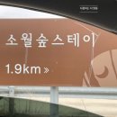 파리바게뜨가평현리점 | 강원도 인제 소월숲스테이, 선유재 펜션 숙박 솔직후기