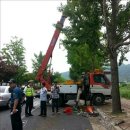 시내버스삼거리 이미지