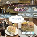 달콤과일나라 | 도쿄 케이크맛집 하브스 시부야점 과일 크레이프 웨이팅 솔직후기