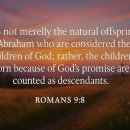 Bible Reading - Romans 9:1~12 이미지