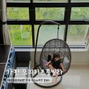 모블리펜션 | 프라이빗한 가평 모블리키즈&amp;애견 풀빌라 애견동반 독채 101호 후기