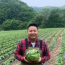 법이네 야채가게 이미지