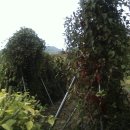 태일농장 이미지