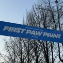 Paw&Me(포앤미) | 2024 아이돌 콘서트 &amp; 팬미팅 오프 연말 결산 (상반기 : 세븐틴, 투바투, 데이식스, 앤팀)