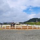악양 승마장 이미지