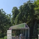 안산 유니스의 정원, 아이와 함께 숲 속 산책부터 원데이 클래스까지 완벽했던 주말 후기