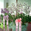 왕 당구장 이미지